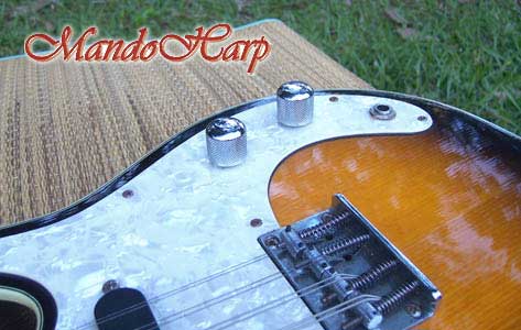 MandoHarp - Fender Semi-Acoustic F-Hole Electric Mandolin