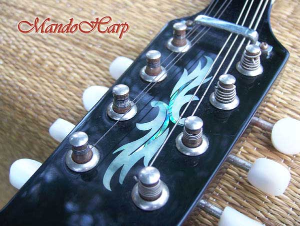 MandoHarp - Fender Semi-Acoustic F-Hole Electric Mandolin