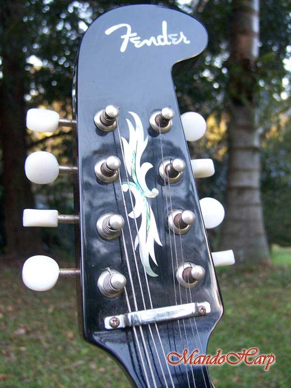 MandoHarp - Fender Semi-Acoustic F-Hole Electric Mandolin