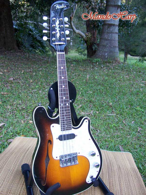 MandoHarp - Fender Semi-Acoustic F-Hole Electric Mandolin