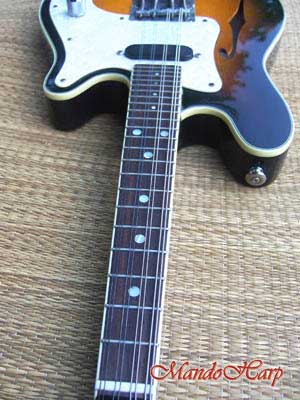 MandoHarp - Fender Semi-Acoustic F-Hole Electric Mandolin