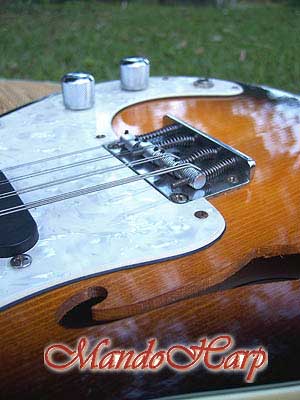 MandoHarp - Fender Semi-Acoustic F-Hole Electric Mandolin