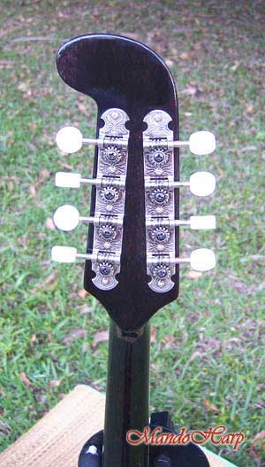 MandoHarp - Fender Semi-Acoustic F-Hole Electric Mandolin