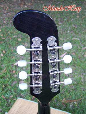 MandoHarp - Fender Semi-Acoustic F-Hole Electric Mandolin
