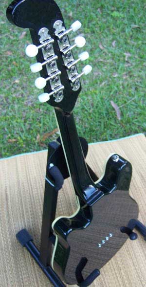 MandoHarp - Fender Semi-Acoustic F-Hole Electric Mandolin