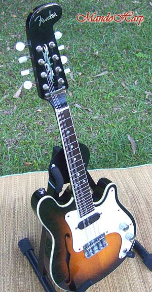 MandoHarp - Fender Semi-Acoustic F-Hole Electric Mandolin