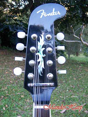 MandoHarp - Fender Semi-Acoustic F-Hole Electric Mandolin