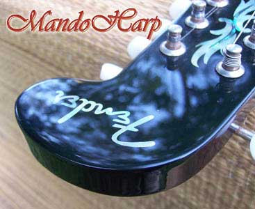 MandoHarp - Fender Semi-Acoustic F-Hole Electric Mandolin