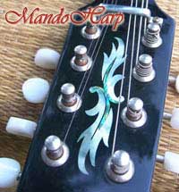 MandoHarp - Fender Semi-Acoustic F-Hole Electric Mandolin