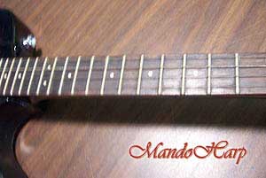MandoHarp - Gibson Epiphone MandoBird IV