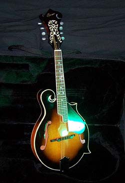 MandoHarp - 'Spencer F5-Style' Mandolin