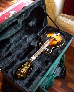 MandoHarp - 'Spencer F5-Style' Mandolin