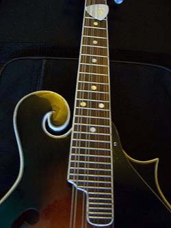 MandoHarp - 'Spencer F5-Style' Mandolin