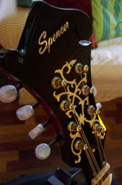 MandoHarp - 'Spencer F5-Style' Mandolin