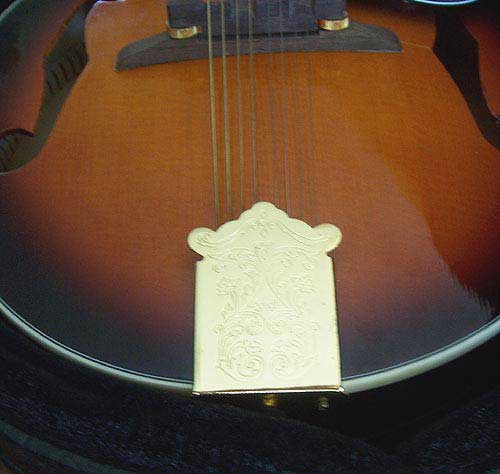 MandoHarp - 'S & D Copley CFM150' F-5 Style Mandolin