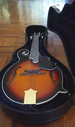 MandoHarp - 'S & D Copley CFM150' F-5 Style Mandolin