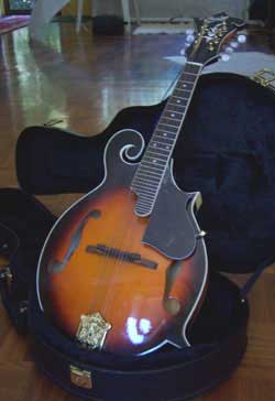 MandoHarp - 'S & D Copley CFM150' F-5 Style Mandolin
