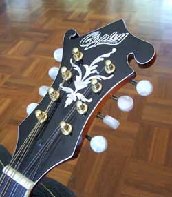 MandoHarp - 'Twisting Vines' Hand-Made F4-Style Mandolin with Abalone and Mother of Pearl Inlay