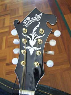 MandoHarp - 'Twisting Vines' Hand-Made F4-Style Mandolin with Abalone and Mother of Pearl Inlay