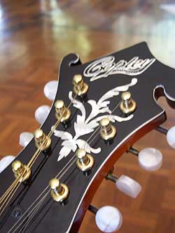MandoHarp - 'Twisting Vines' Hand-Made F4-Style Mandolin with Abalone and Mother of Pearl Inlay