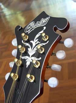 MandoHarp - 'Twisting Vines' Hand-Made F4-Style Mandolin with Abalone and Mother of Pearl Inlay
