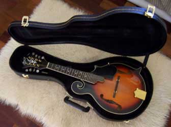 MandoHarp - 'S & D Copley CFM150' F-5 Style Mandolin