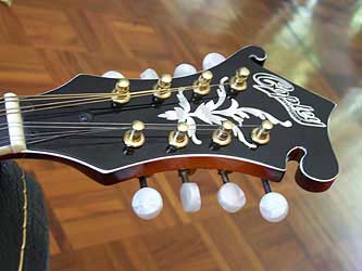 MandoHarp - 'S & D Copley CFM150' F-5 Style Mandolin