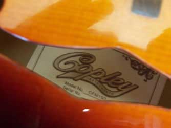 MandoHarp - 'S & D Copley CFM150' F-5 Style Mandolin
