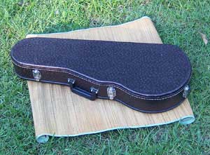 Floral Swallows F4-Style Inlaid Mandolin