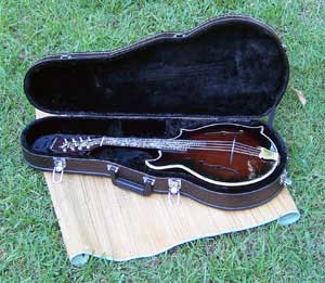 Floral Swallows F4-Style Inlaid Mandolin
