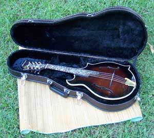 Floral Swallows F4-Style Inlaid Mandolin
