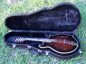 Floral Swallows F4-Style Inlaid Mandolin