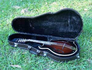 Floral Swallows F4-Style Inlaid Mandolin