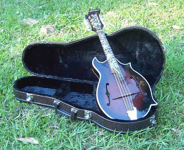 Floral Swallows F4-Style Inlaid Mandolin