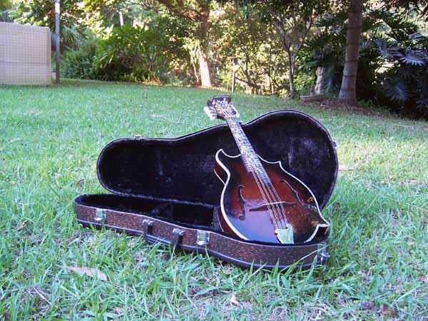 Floral Swallows F4-Style Inlaid Mandolin