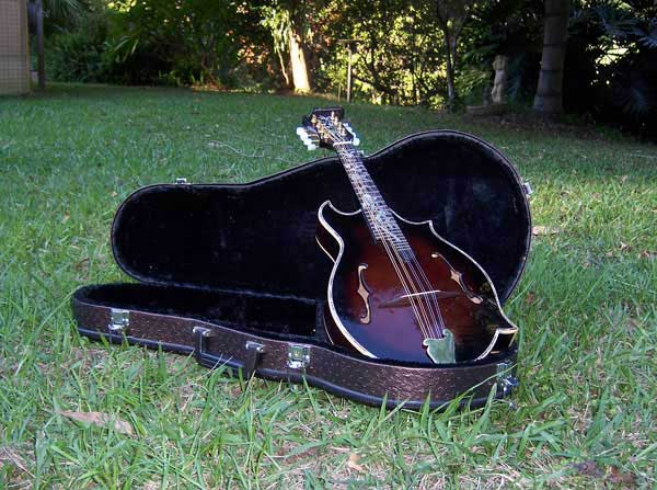 Floral Swallows F4-Style Inlaid Mandolin
