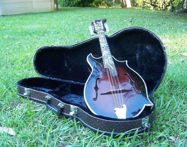 Floral Swallows F4-Style Inlaid Mandolin