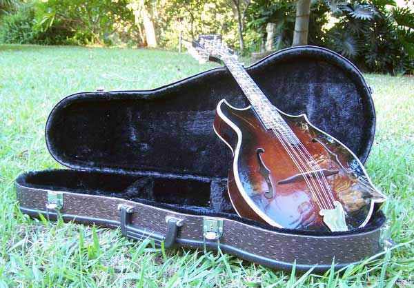 Floral Swallows F4-Style Inlaid Mandolin