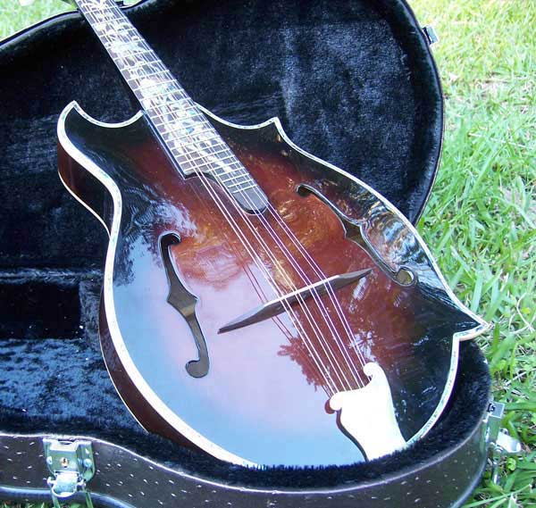 Floral Swallows F4-Style Inlaid Mandolin