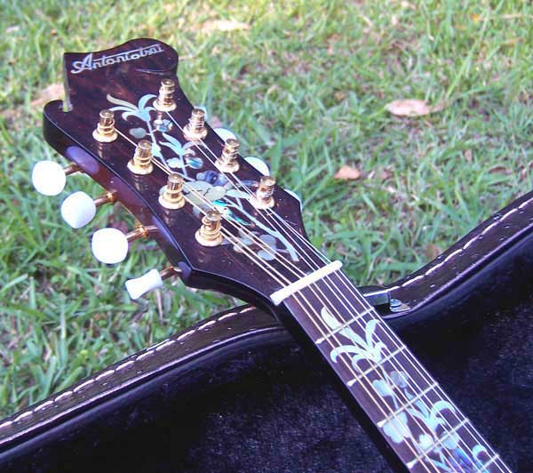 Floral Swallows F4-Style Inlaid Mandolin