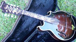 Floral Swallows F4-Style Inlaid Mandolin