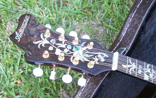 Floral Swallows F4-Style Inlaid Mandolin
