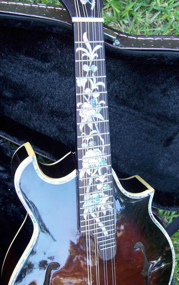 Floral Swallows F4-Style Inlaid Mandolin
