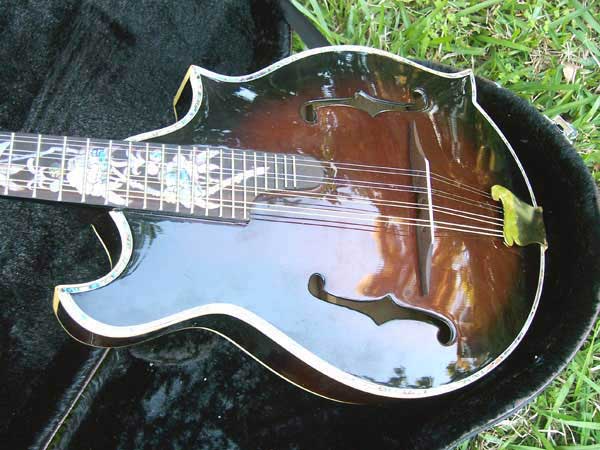 Floral Swallows F4-Style Inlaid Mandolin
