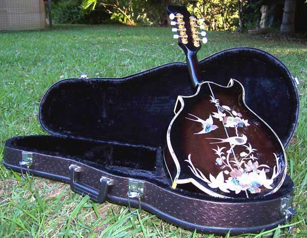 Floral Swallows F4-Style Inlaid Mandolin