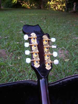 Floral Swallows F4-Style Inlaid Mandolin