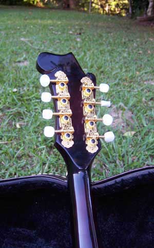Floral Swallows F4-Style Inlaid Mandolin