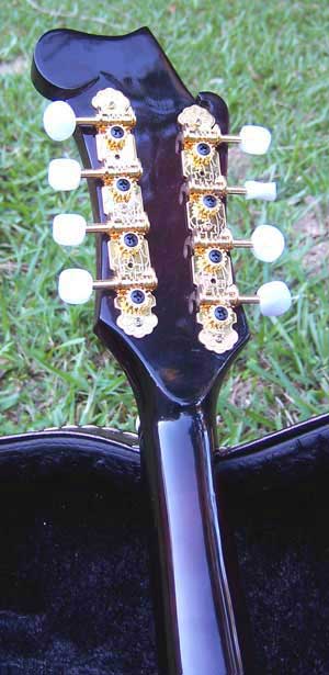 Floral Swallows F4-Style Inlaid Mandolin