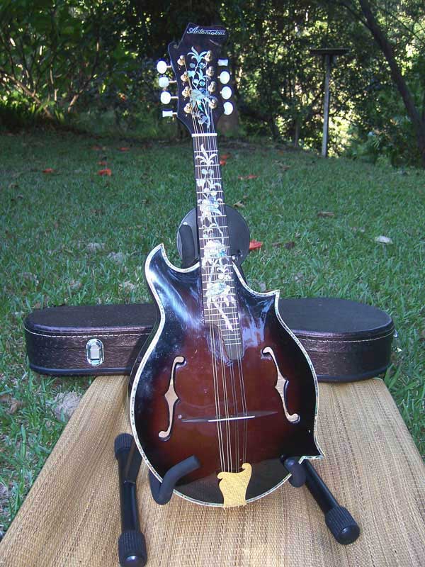 Floral Swallows F4-Style Inlaid Mandolin