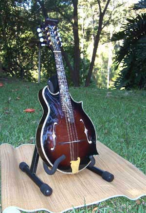 Floral Swallows F4-Style Inlaid Mandolin